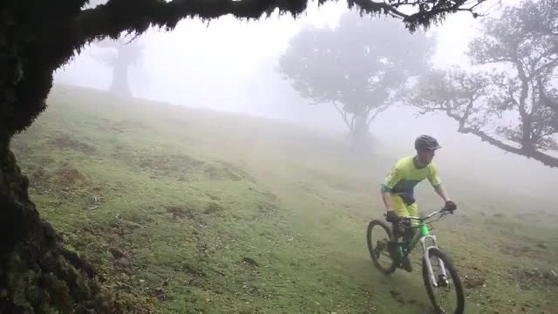 Madeira - et sykkelparadis